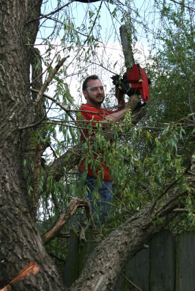 Best tree doctor in Northern Virginia, Commercial Landscaping Loudoun County,  Virginia, Commercial Landscaping Fairfax County, Virginia, Commercial  Landscaping Prince William County, Virginia, responsive and professional  landscaping, tree service, snow